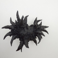 N º 1 da série Nudibranch