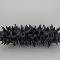 Série Viva Bicho Nº 1